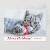 Personalisiert Frohe Weihnachts-Kitten mit Weihnac Postkarte (Vorderseite)
