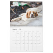 Personalisiert Funny Lazy Hunde 2026 Kalender (Feb 2026)