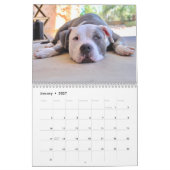 Personalisiert Funny Lazy Hunde 2026 Kalender (Jan 2027)
