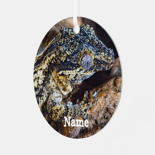 Personalisiert Gargoyle Gecko Pet Lizard Ornament Aus Metall (Vorderseite links)