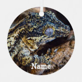 Personalisiert Gargoyle Gecko Pet Lizard Ornament Aus Metall (Vorderseite)