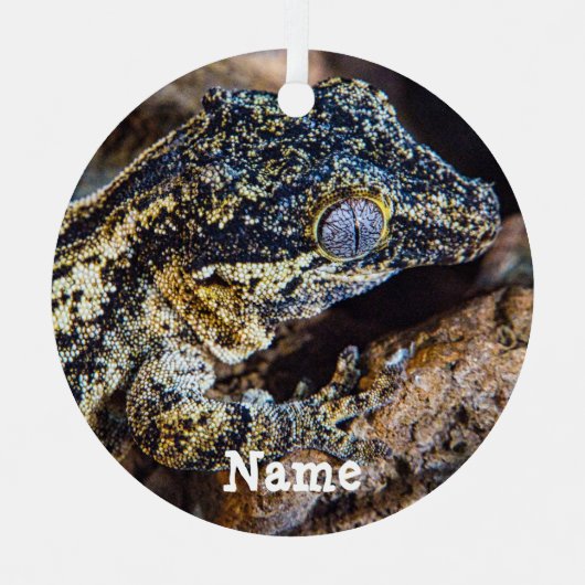 Personalisiert Gargoyle Gecko Pet Lizard Ornament Aus Metall (Vorderseite)
