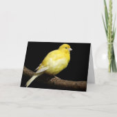 Personalisiert-Gelbkaninchen Karte (Vorderseite)