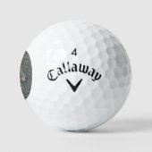 Personalisiert Grau Fox Callaway Golf Balls Golfball (Logo)