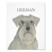 Personalisiert Grau Silver Schnauzer Art Fotodruck (Vorne)