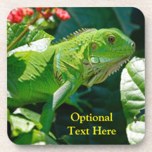 Personalisiert Green Iguana Lizard