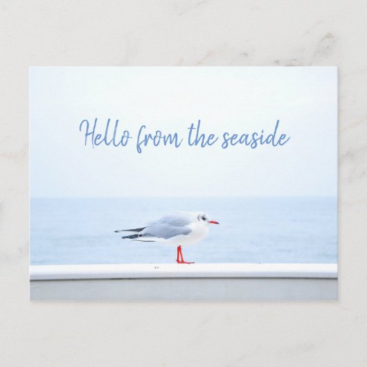 Personalisiert// Hallo // Seagull Postkarte (Vorderseite)