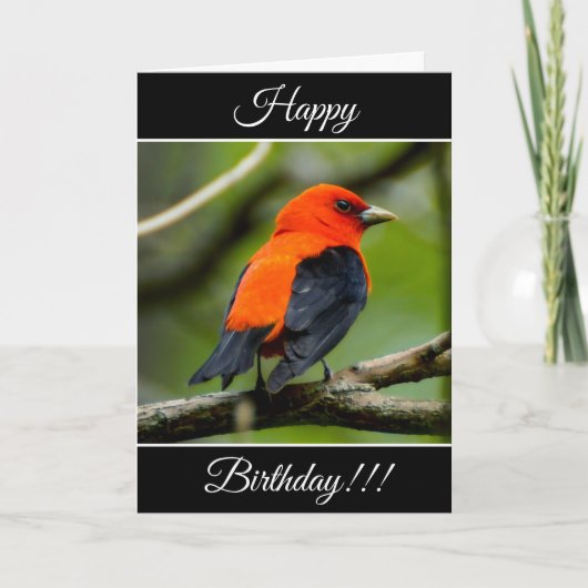 Personalisiert Happy Birthday Scarlet Tanager Card Karte (Vorderseite)