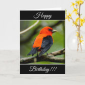 Personalisiert Happy Birthday Scarlet Tanager Card Karte (Gelbe Blume)