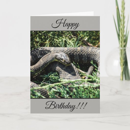 Personalisiert Happy Birthday Snake Card Karte (Vorderseite)