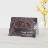 Personalisiert Happy Birthday Tante Niedlich Eichh Karte (Gelbe Blume)