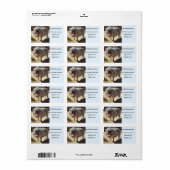 Personalisiert Happy Lächeln Mini Pig Adressenmark Adressaufkleber (Vorne)