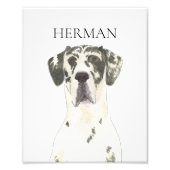 Personalisiert Harlequin Art Fotodruck (Vorne)