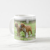 Personalisiert Hund Foto Kaffee Tasse (Vorderseite Links)