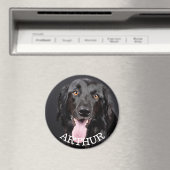 Personalisiert Hund Foto Kühlschrank Magnet (In Situ (Geschirrspüler))