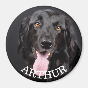Personalisiert Hund Foto Kühlschrank Magnet