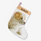 Personalisiert Hunde Foto Festlicher Urlaub Niedli Kleiner Weihnachtsstrumpf (Vorderansicht (hängend))