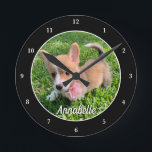 Personalisiert Hunde Foto Monogram Moderner Hausbe Runde Wanduhr<br><div class="desc">Personalisieren Sie das Foto Ihres eigenen Hundes auf dieser niedlichen,  modernen Haustier-Wanduhr und passen Sie mit ihrem Namen unten an. Ein wunderschönes Geschenk für Hunde oder Katzenbesitzer,  um ihre Liebe zu verewigen. Schwarz mit weißen Zahlen.</div>