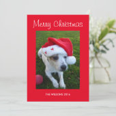 Personalisiert Hunde Foto Weihnachtskarte Feiertagskarte (Stehend Vorderseite)