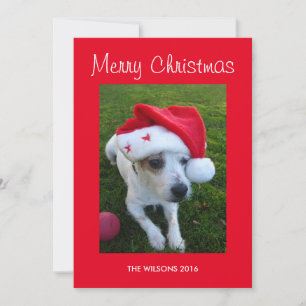 Personalisiert Hunde Foto Weihnachtskarte Feiertagskarte