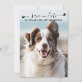 Personalisiert Hunde Hochzeitstiefel Foto Save the Date (Vorderseite)