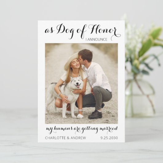 Personalisiert Hunde Hunde Foto Moderne Script Hoc Save The Date (Stehend Vorderseite)