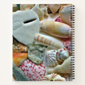 Personalisiert Journal Florida Seashells Notizblock (Rückseite)