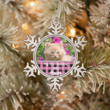 Personalisiert Kitten's First Christmas Pink Karo