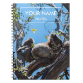 Personalisiert Koalas Notizblock (Vorderseite)