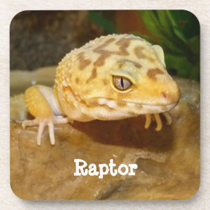 Personalisiert Leopard Gecko Lizard Getränkeuntersetzer