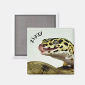 Personalisiert Leopard Gecko Lizard Magnet (Vorderseite/Rückseite)