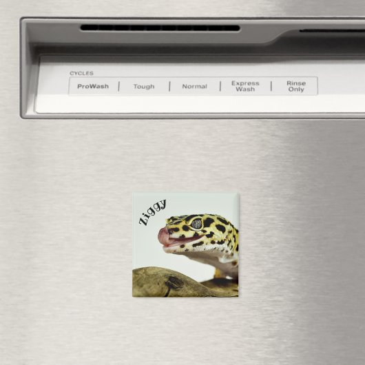 Personalisiert Leopard Gecko Lizard Magnet (In Situ (Geschirrspüler))