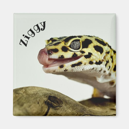 Personalisiert Leopard Gecko Lizard Magnet (Vorne)