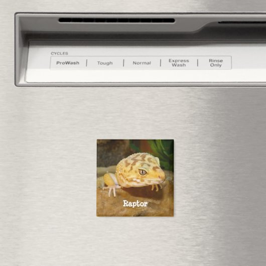 Personalisiert Leopard Gecko Lizard Magnet (In Situ (Geschirrspüler))