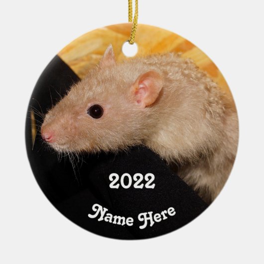 Personalisiert Lilac Mink Extravagant Pet Rat Keramik Ornament (Vorne)