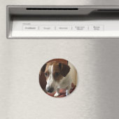 Personalisiert Magnete Magnet (In Situ (Geschirrspüler))