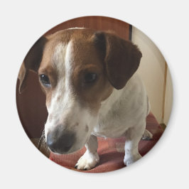 Personalisiert Magnete Magnet