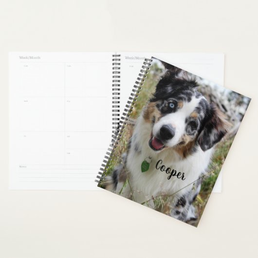 Personalisiert Merle Australian Shepherd Puppy Planer (Anzeige)