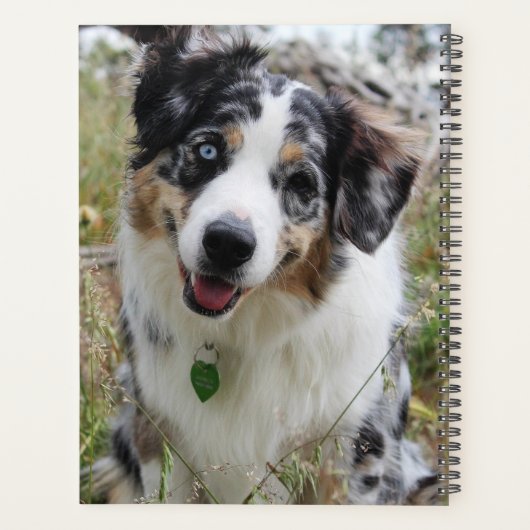 Personalisiert Merle Australian Shepherd Puppy Planer (Rückseite)