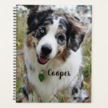 Personalisiert Merle Australian Shepherd Puppy