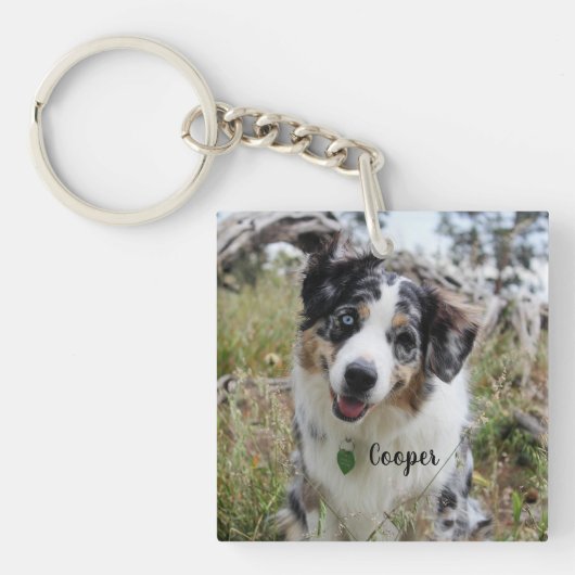 Personalisiert Merle Australian Shepherd Puppy Schlüsselanhänger (Vorderseite)