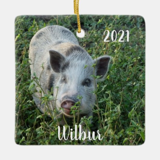 Personalisiert Mini Juliana Pet Pig Keramikornament (Vorderseite)