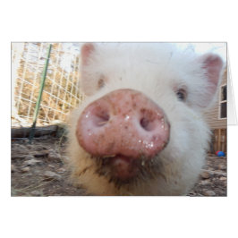 Personalisiert Mini Pig Snout