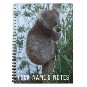Personalisiert Niedliche Koala Animal Wildife Notizblock