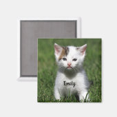 Personalisiert Niedliche White Kitten Magnet (Vorderseite/Rückseite)