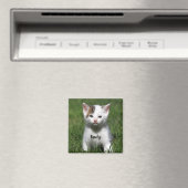 Personalisiert Niedliche White Kitten Magnet (In Situ (Geschirrspüler))
