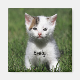 Personalisiert Niedliche White Kitten Magnet