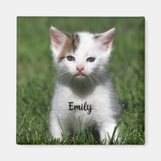 Personalisiert Niedliche White Kitten Magnet (Vorne)