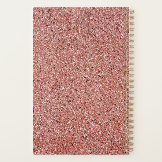 Personalisiert Nurse Practitioner Rose Gold Glitze Planer (Rückseite)