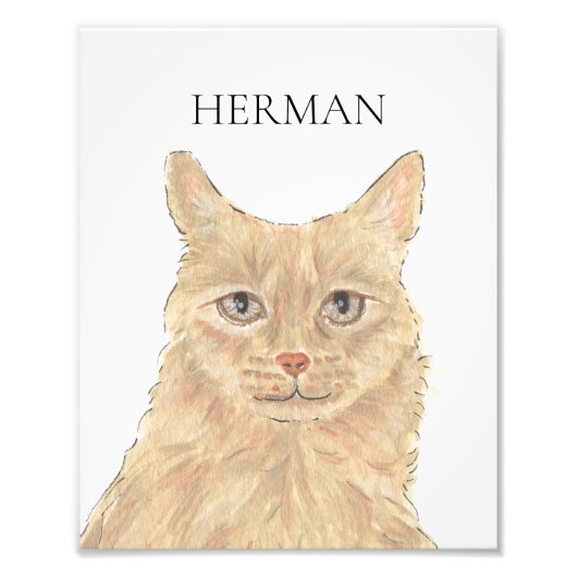 Personalisiert Orange Maine Coon Art Fotodruck (Vorne)